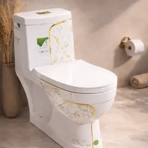 Унитаз велиста, Душанбе
