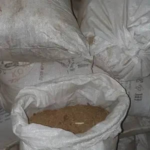Поруи гов ва гӯсфанд, Худжанд