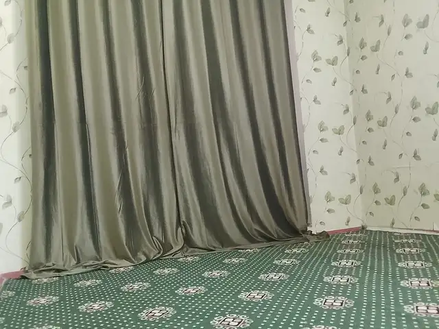 Комната в 1-комн. квартире, 5 этаж, 100 м², Зарнисор, Душанбе