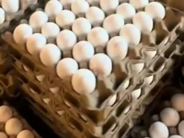 Тухм, Худжанд