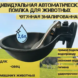 Поилка для коров, скота и лошадей, Душанбе