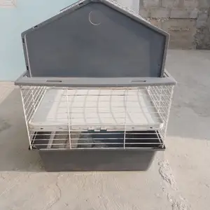 Клетка, Конибодом