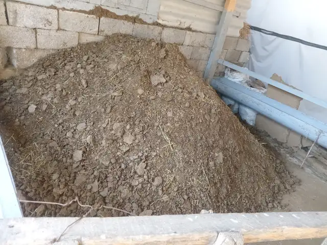 Поруи гусфанд, Ҳисор