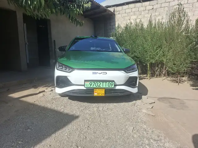 BYD E2