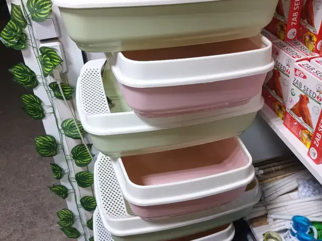 Лоток для кошек, Худжанд