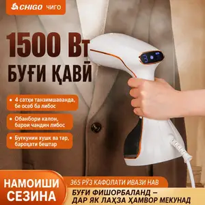 Дарзмолкунаки буғӣ, Душанбе