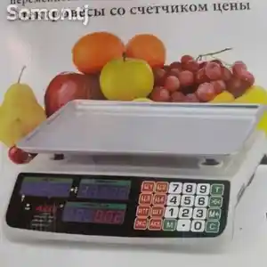 Весы DZ-225, Душанбе