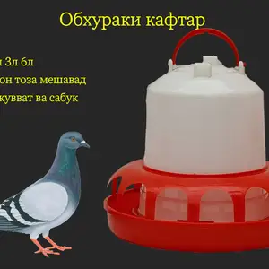 Поилка/Обхураки кафтар, Душанбе