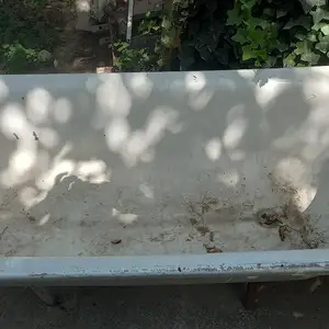 Ванна охани, Гиссар