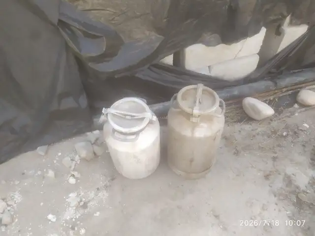 Фляга, Ваҳдат