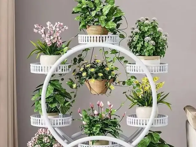 Подставка для цветов, Хуҷанд