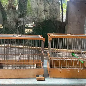Клеткахо, Худжанд