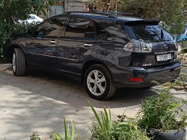 Lexus RX series