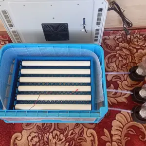 Инкубатор, Исфара