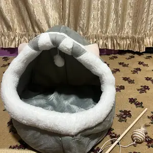 Лежанка для кота, Душанбе