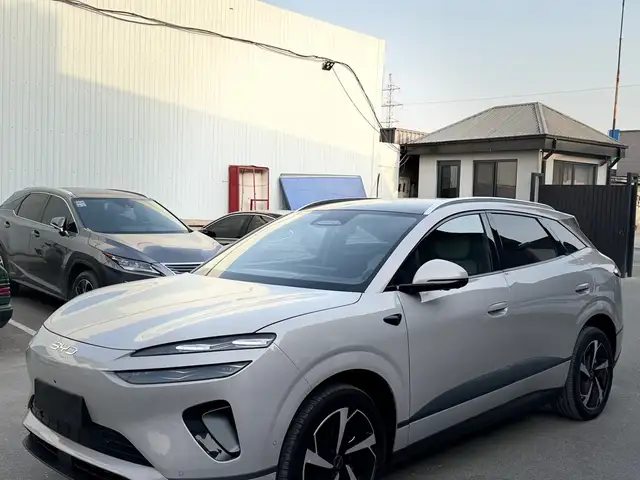 BYD Sea Lion 06