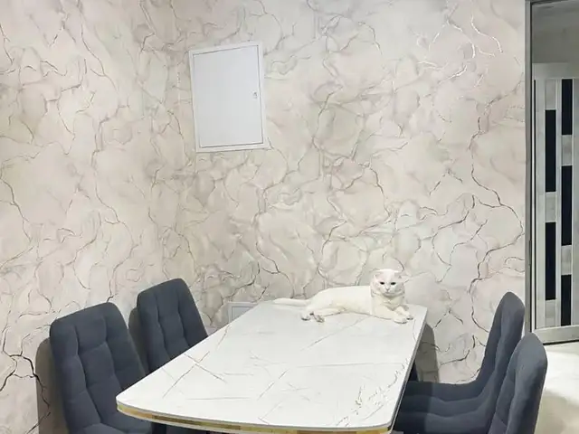Стол и стулья, Душанбе