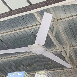 Вентилятор, Душанбе