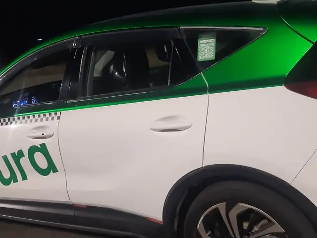Hongqi E-HS3