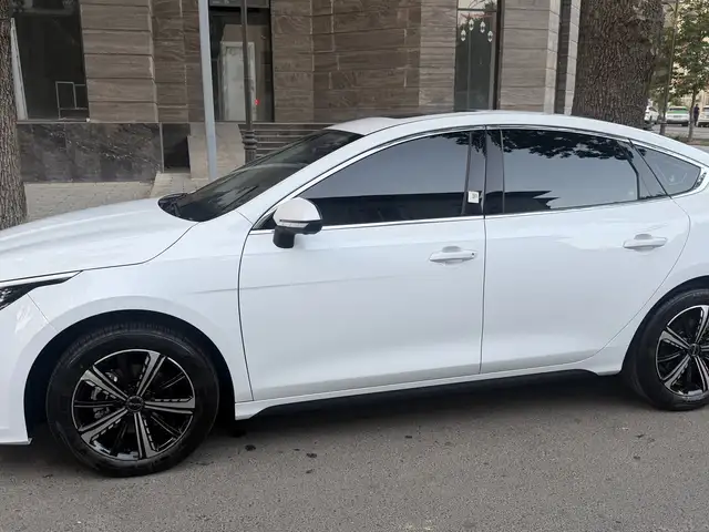 BYD Chazor