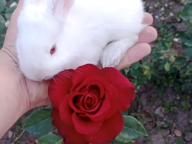 Харгушча 9км, Душанбе