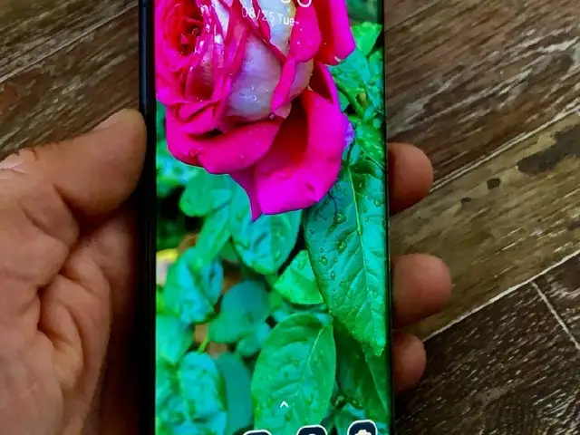 Xiaomi Mi12x5G 256/12, Душанбе