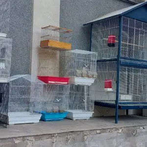 Кафас, Душанбе