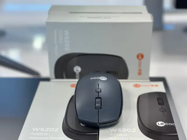 Мышка Mouse Lecoo ws202, Хуҷанд
