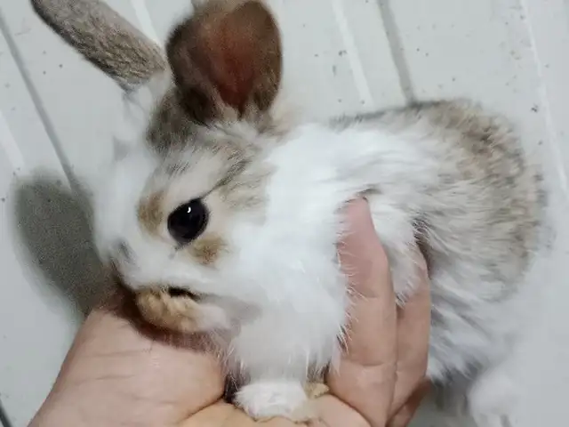 Харгушча 9км, Душанбе