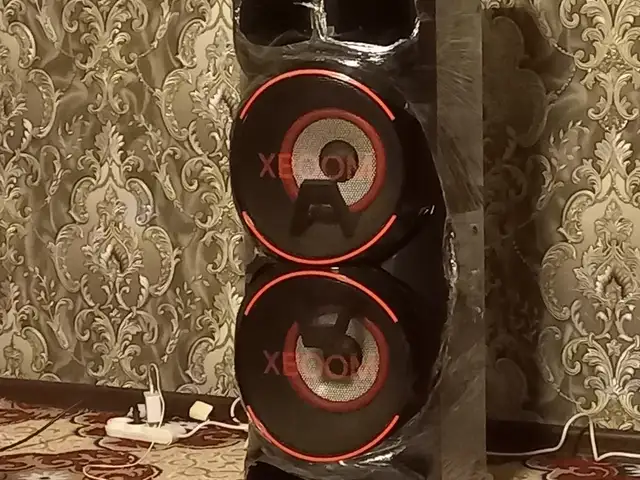 Колонка LG, Рудаки