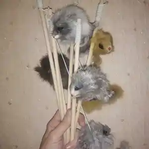 Мышки дразнилки для кошек, Душанбе