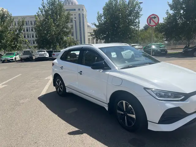 BYD E2