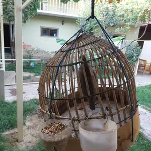 Кабк, Душанбе