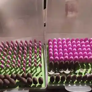 Насадки от бормашины, Душанбе