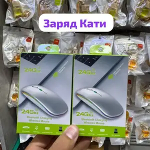 Мышь, Душанбе