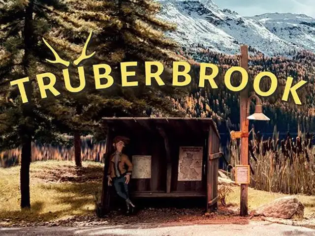 Игра Truberbrook для PS5 // 10.01-12.00 //, Душанбе