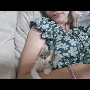 Котята, Душанбе