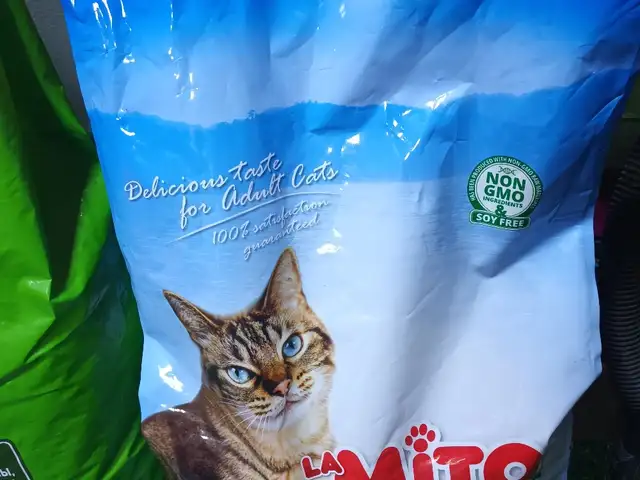 Корм для кошек, Худжанд