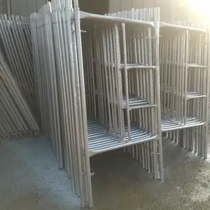 Леса, Душанбе
