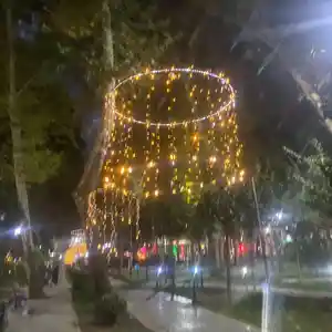 Гирлянда для декора, Душанбе