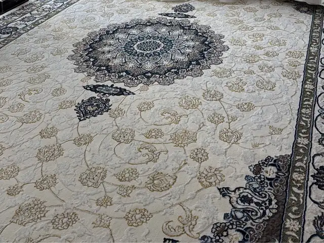 Колин, Душанбе