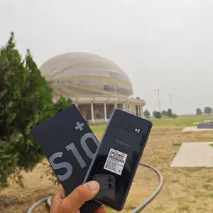 Samsung Galaxy S10+, Гиссар