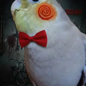 Попугай, Душанбе
