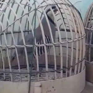 Кабк, Душанбе
