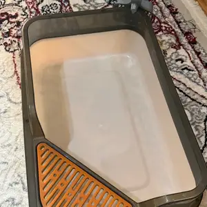 Лоток для кошек, Душанбе