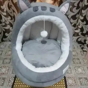 Дом для котёнка, Душанбе