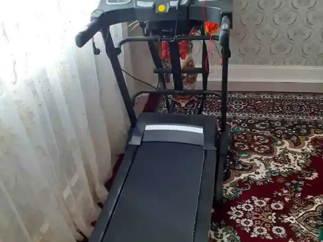 Беговая дорожка, Худжанд