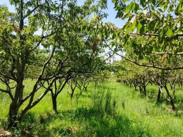Продажа постройки с земельным участком 2 сот.,Ҳисор, Ҳисор