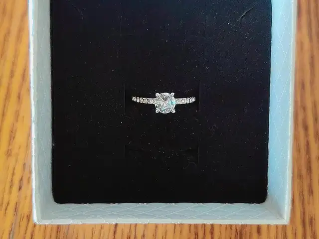 Кольцо из стали, Душанбе