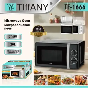 Микроволновка TY-1666, Душанбе